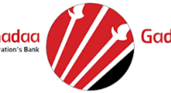 Gadaa Bank S.C. Vacancy Announcement